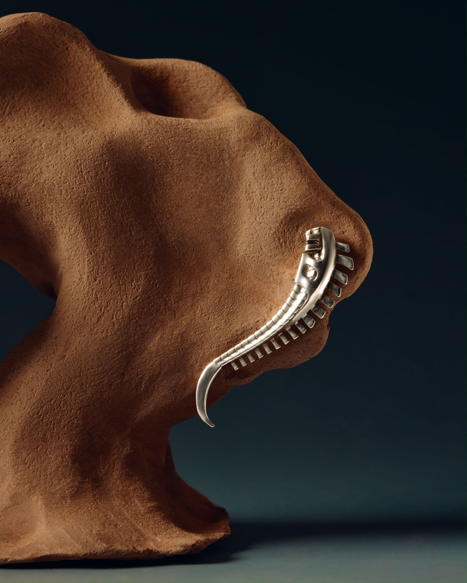 Sculpted terracotta form in profile against a dark teal ground, with a curved silver spine piece resting along its edge.